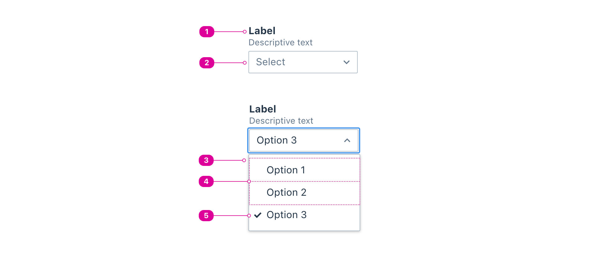 A dropdown closed with indicators calling out the corresponding anatomy items starting with Label above the Button followed by an open Dropdown that consist of: a listbox that includes options and the selected option.