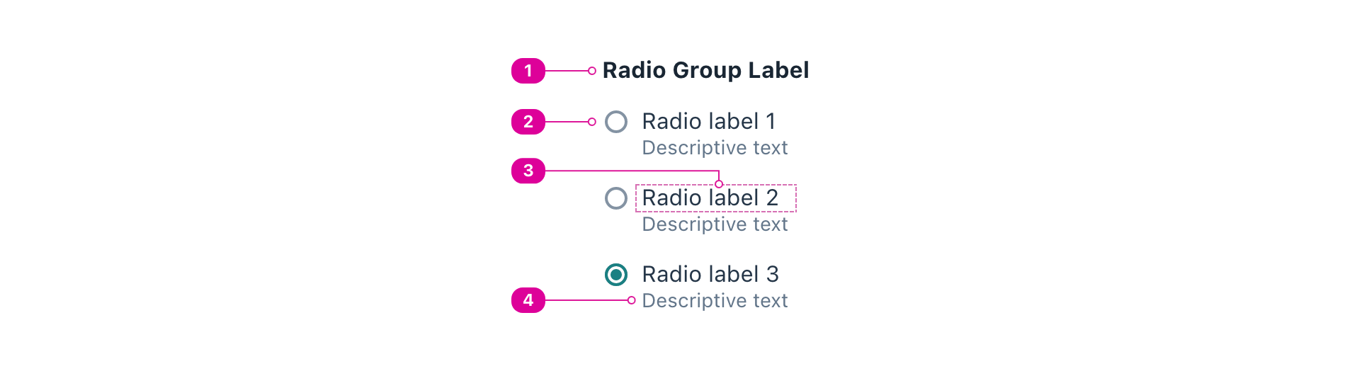 A radio group with indicators calling out the corresponding anatomy items starting with Group Label followed by three radio button options that consist of: an unselected control: left, a radio button label: right of control, and description text: below the radio button label.